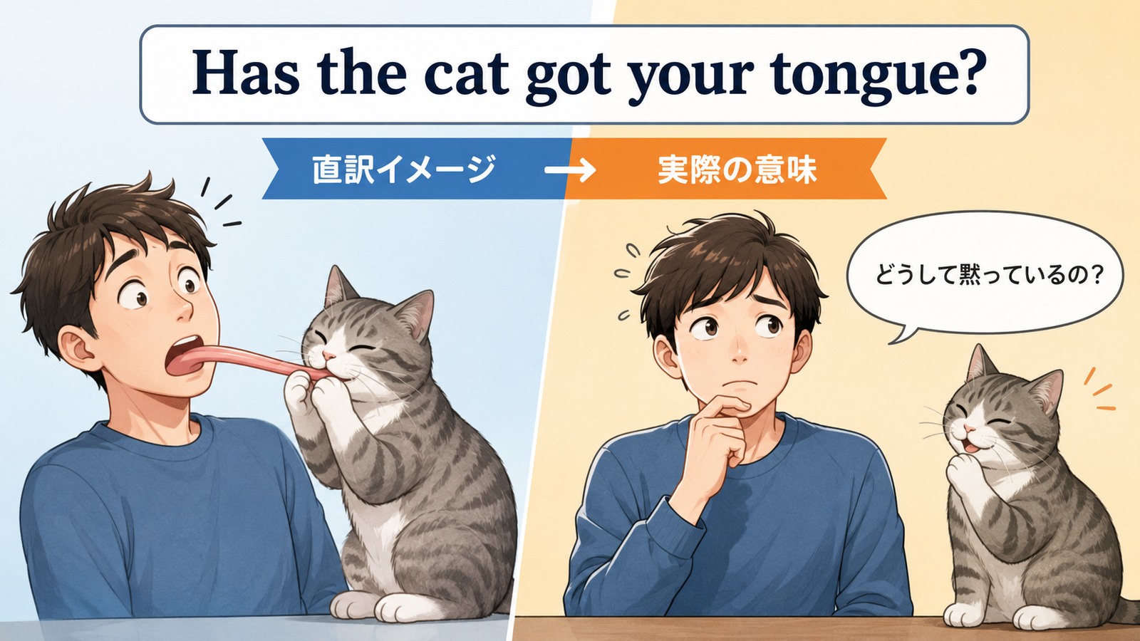 Has the cat got your tongue?の直訳イメージと実際の意味を比較した解説イラスト