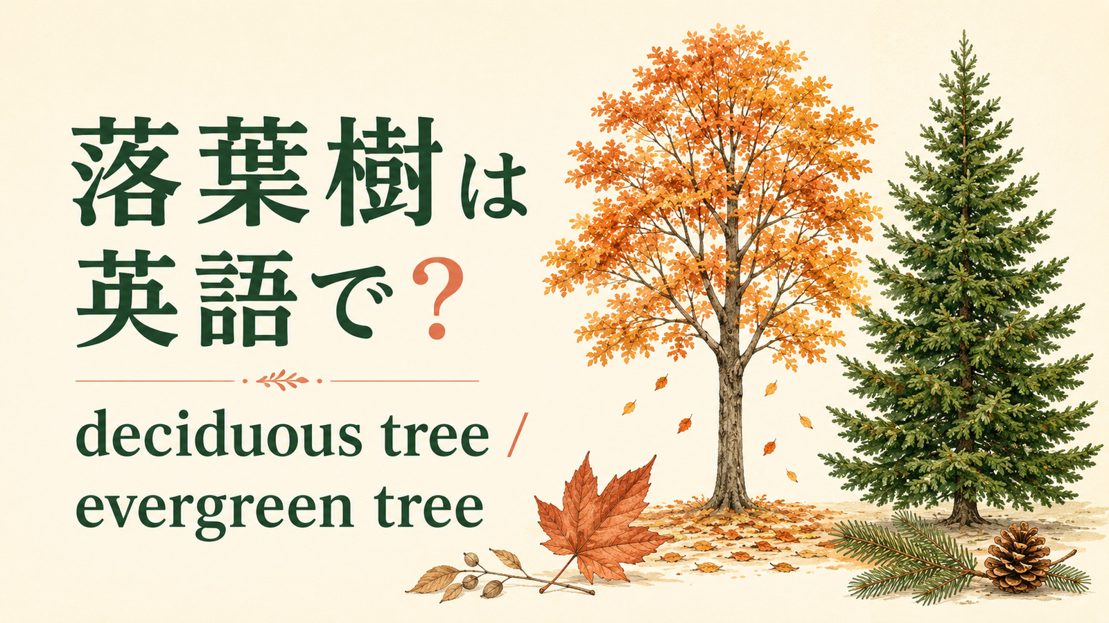 落葉樹は英語で?deciduous tree
