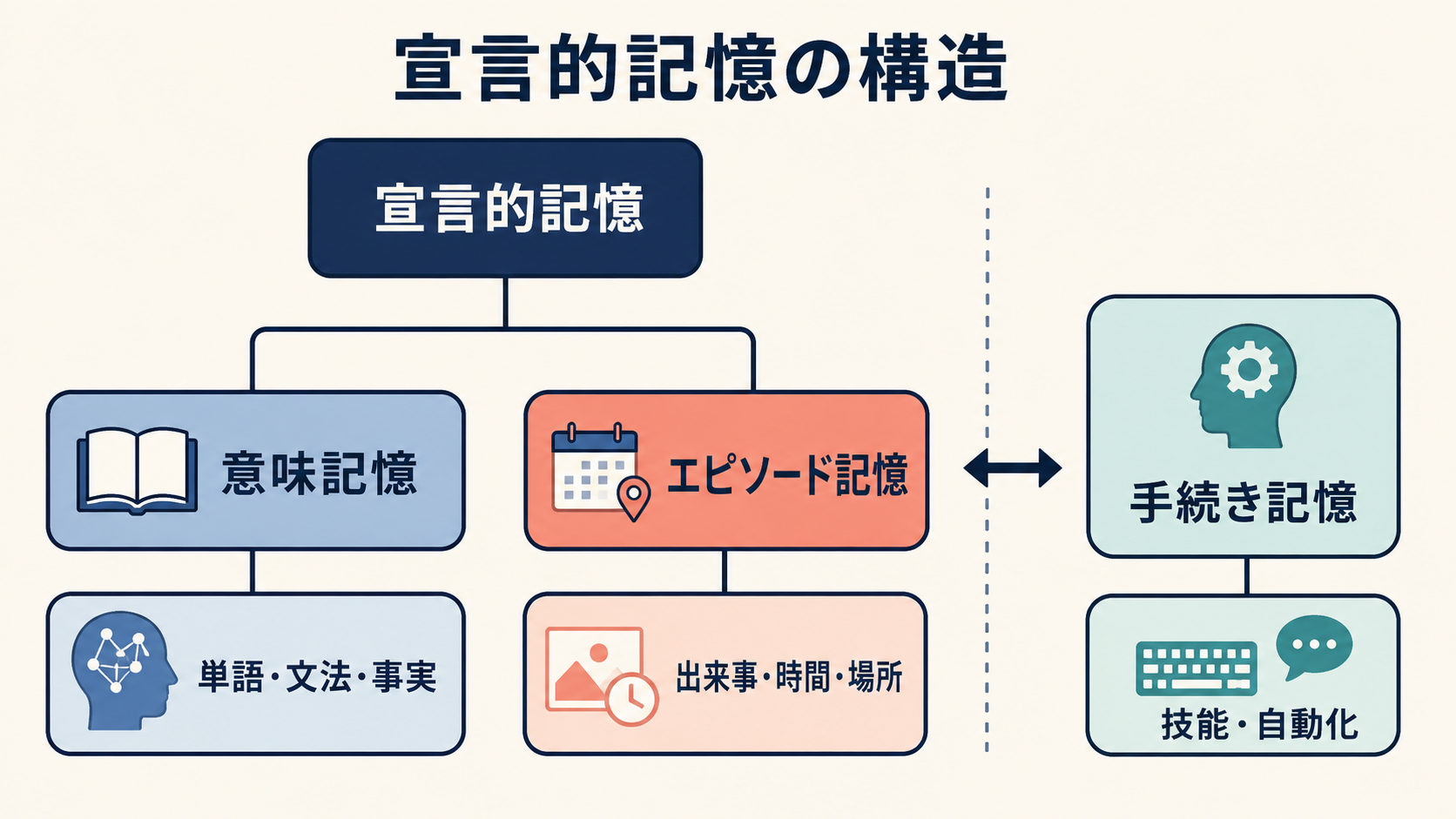 宣言的記憶・意味記憶・エピソード記憶・手続き記憶の関係図