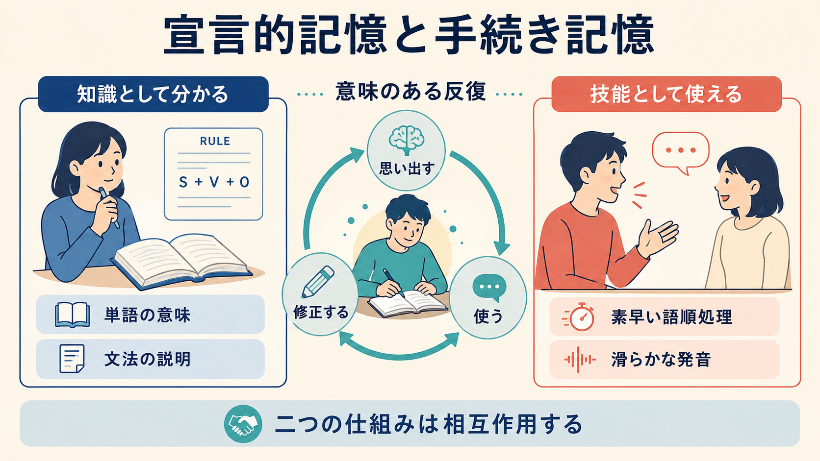 宣言的記憶と手続き記憶が意味のある反復を通じて相互作用する図