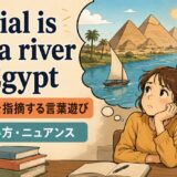 Denial is not a river in Egyptの意味と使い方