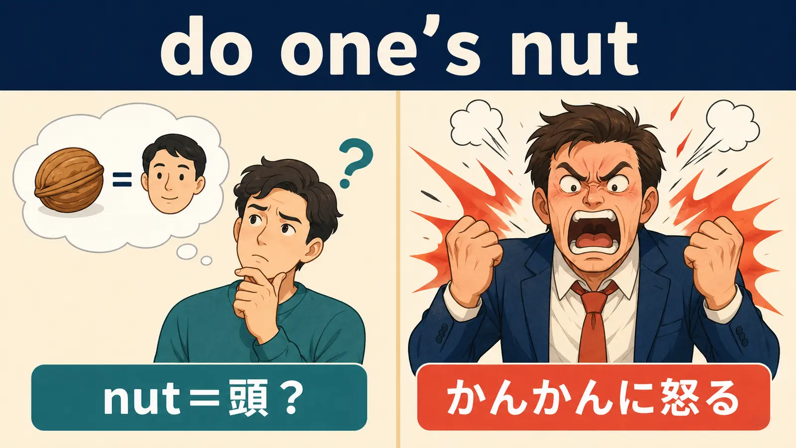 do one's nutの直訳イメージと実際の意味の比較図