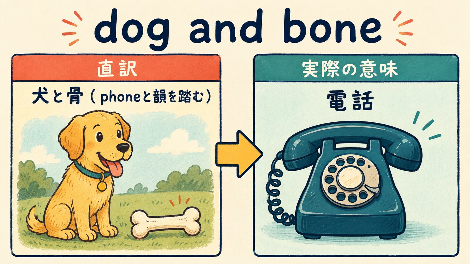 dog and boneの直訳と実際の意味を比較する解説イラスト