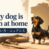 Every dog is a lion at homeの意味・使い方・ニュアンスを示すアイキャッチ