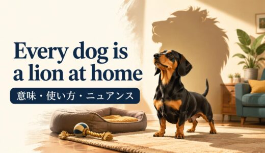 Every dog is a lion at home の意味は？使い方・ニュアンス・例文を解説