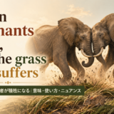 When elephants fight, it is the grass that suffersの意味と使い方