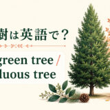 常緑樹は英語で?evergreen tree
