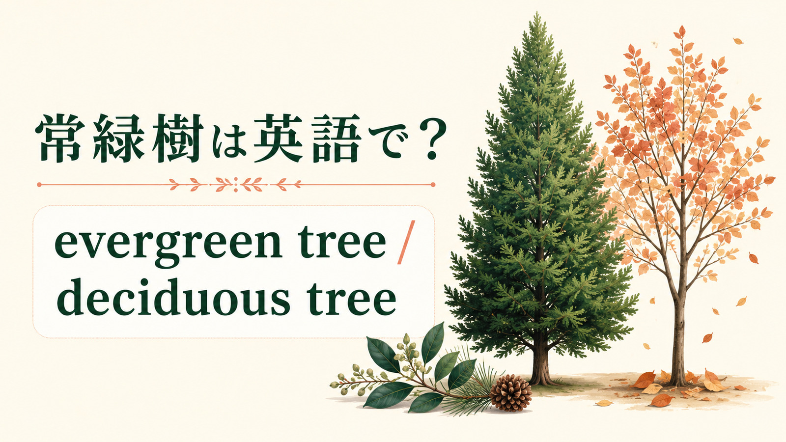 常緑樹は英語で?evergreen tree