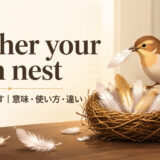 feather your own nest feature.jpg 英語イディオム解説画像