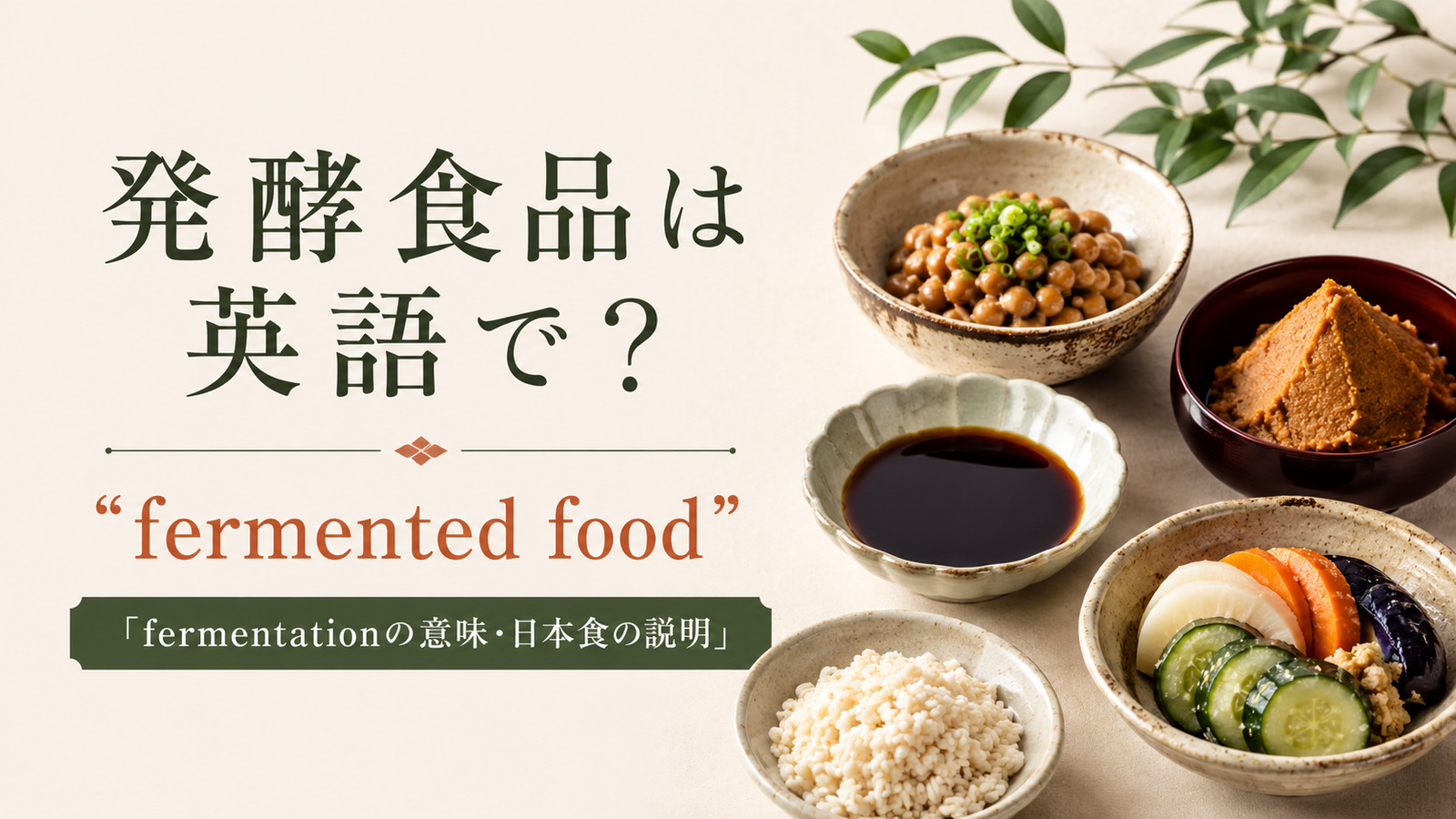 発酵食品は英語でfermented foodと紹介するアイキャッチ画像