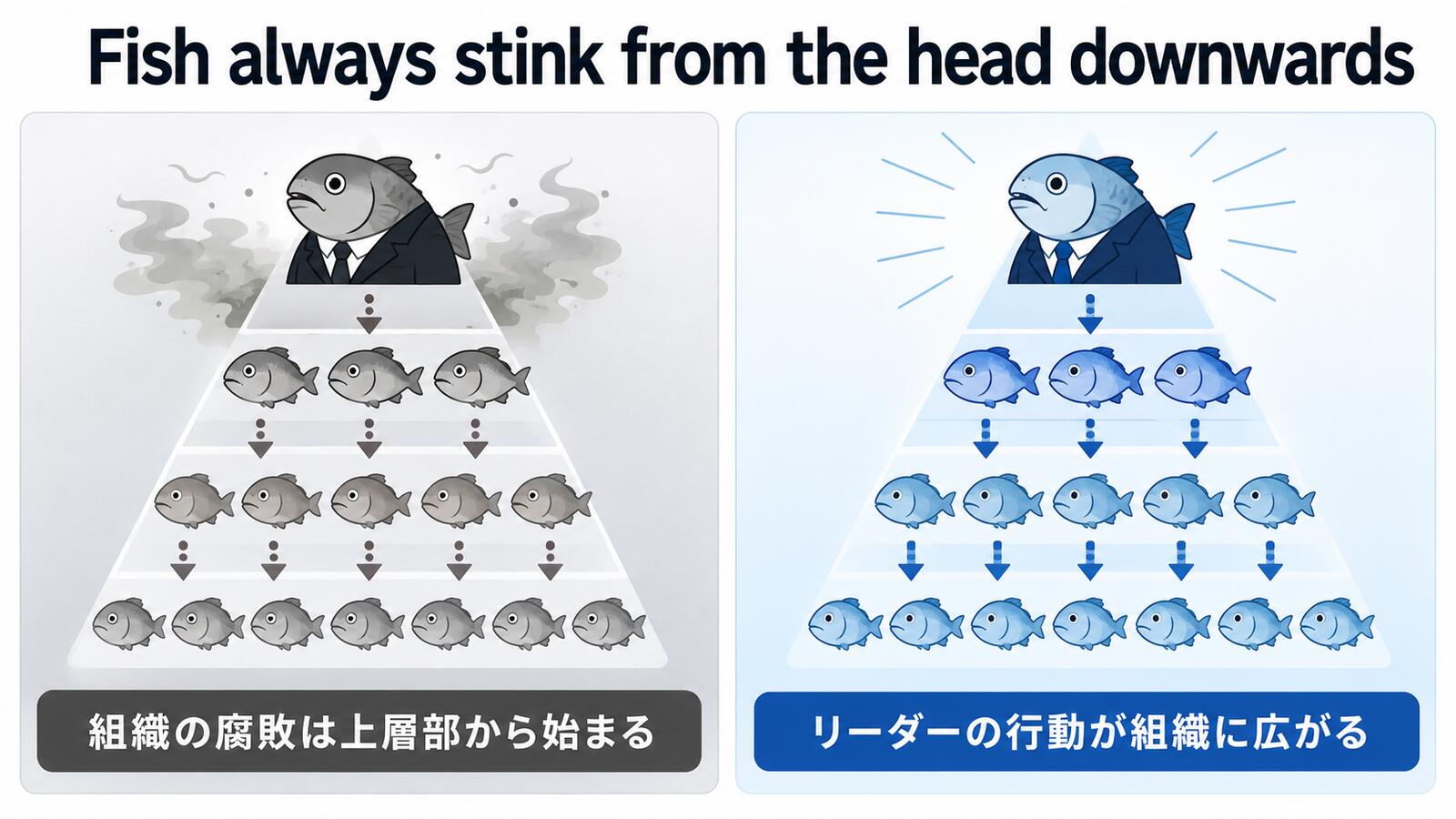 Fish always stink from the head downwardsの直訳と実際のニュアンスを説明するイラスト