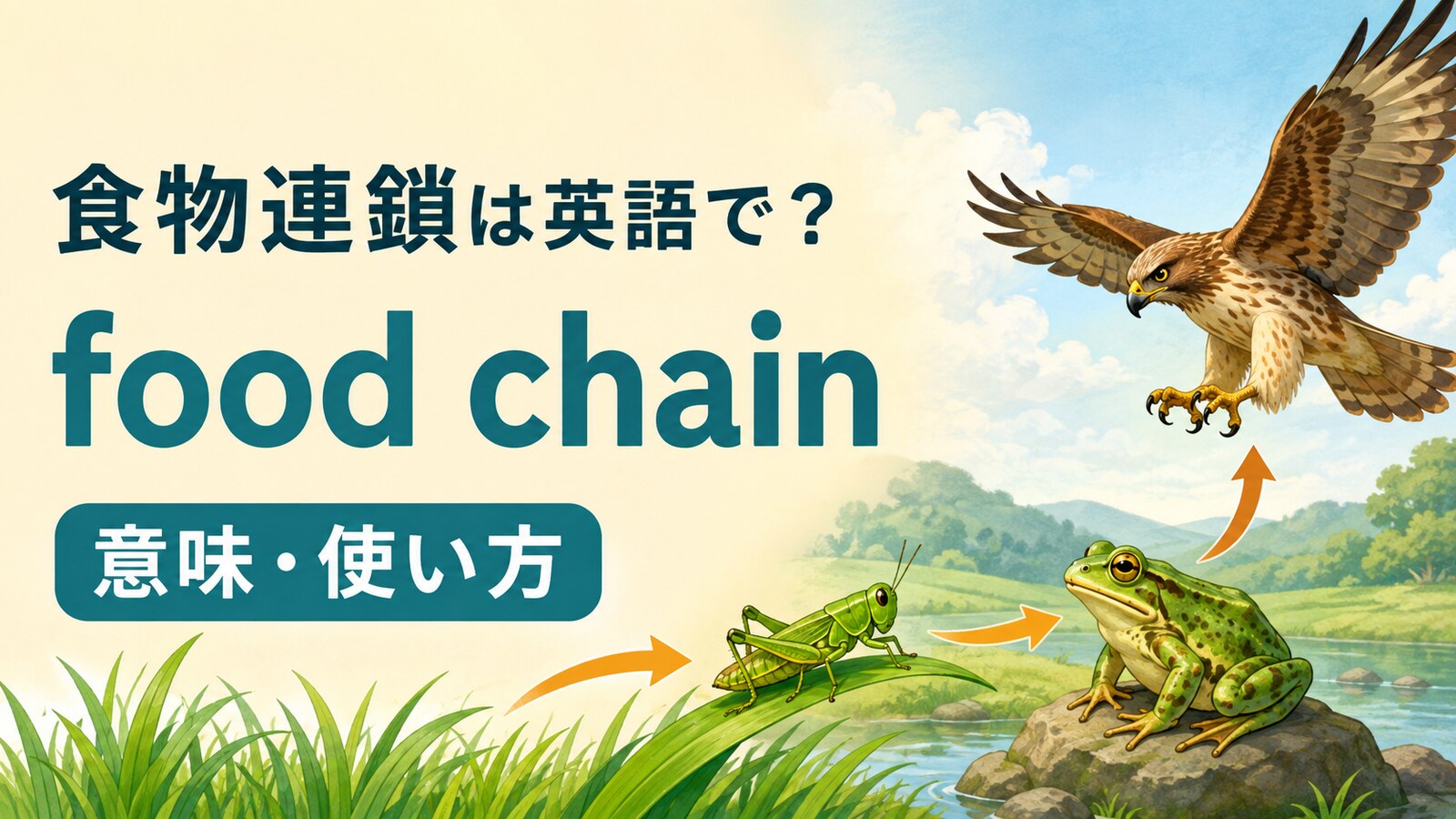 食物連鎖は英語でfood chain。意味・使い方