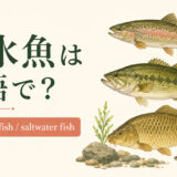 淡水魚を英語で|freshwater fishの意味と使い方