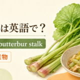 ふきとbutterbur stalkのアイキャッチ