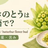 ふきのとうとbutterbur flower budのアイキャッチ