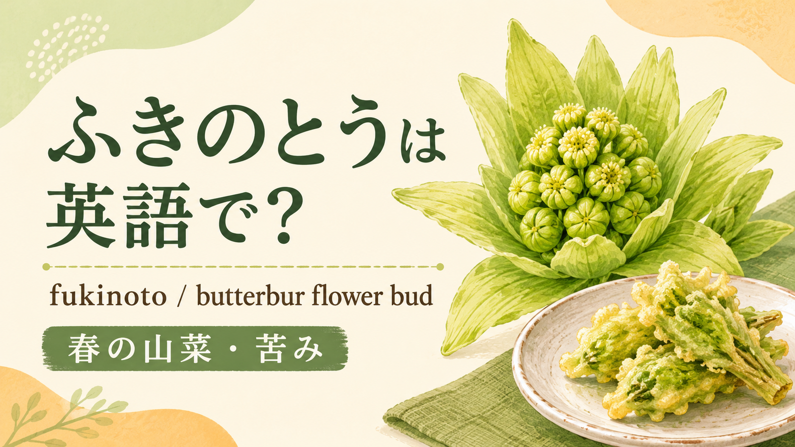 ふきのとうは英語で何というかを解説するアイキャッチ