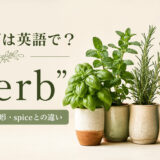 ハーブは英語でherbと紹介するアイキャッチ画像