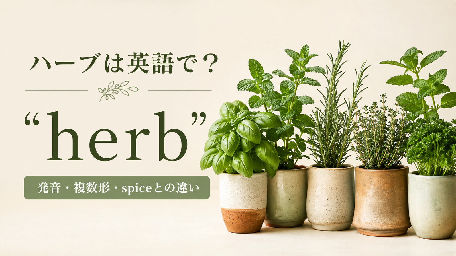 ハーブは英語でherbと紹介するアイキャッチ画像