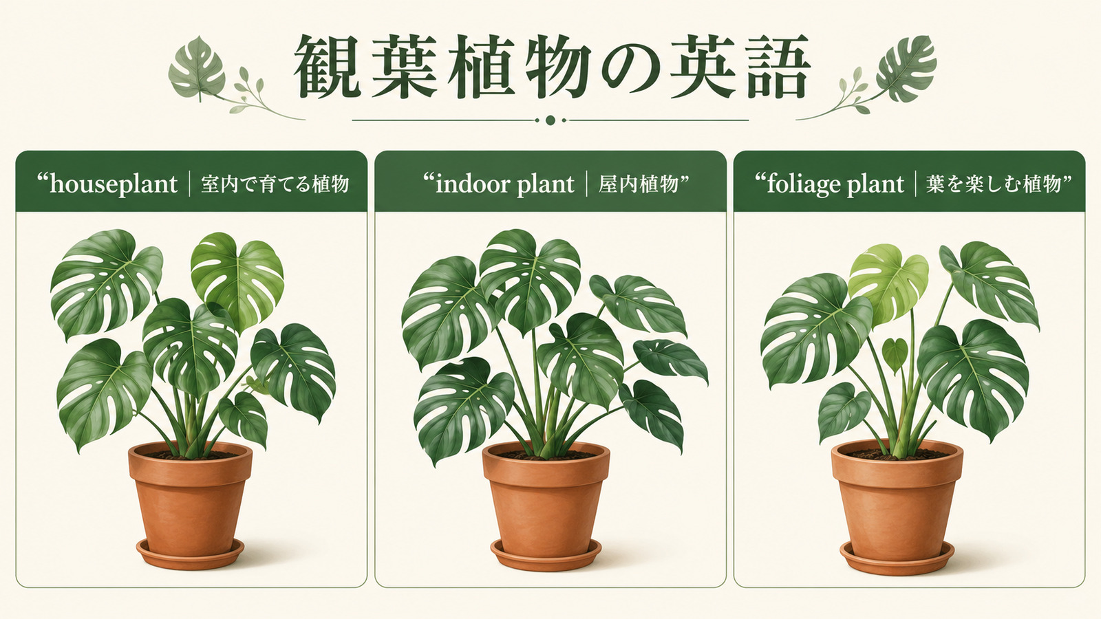 観葉植物を表すhouseplant・indoor plant・foliage plantの違い