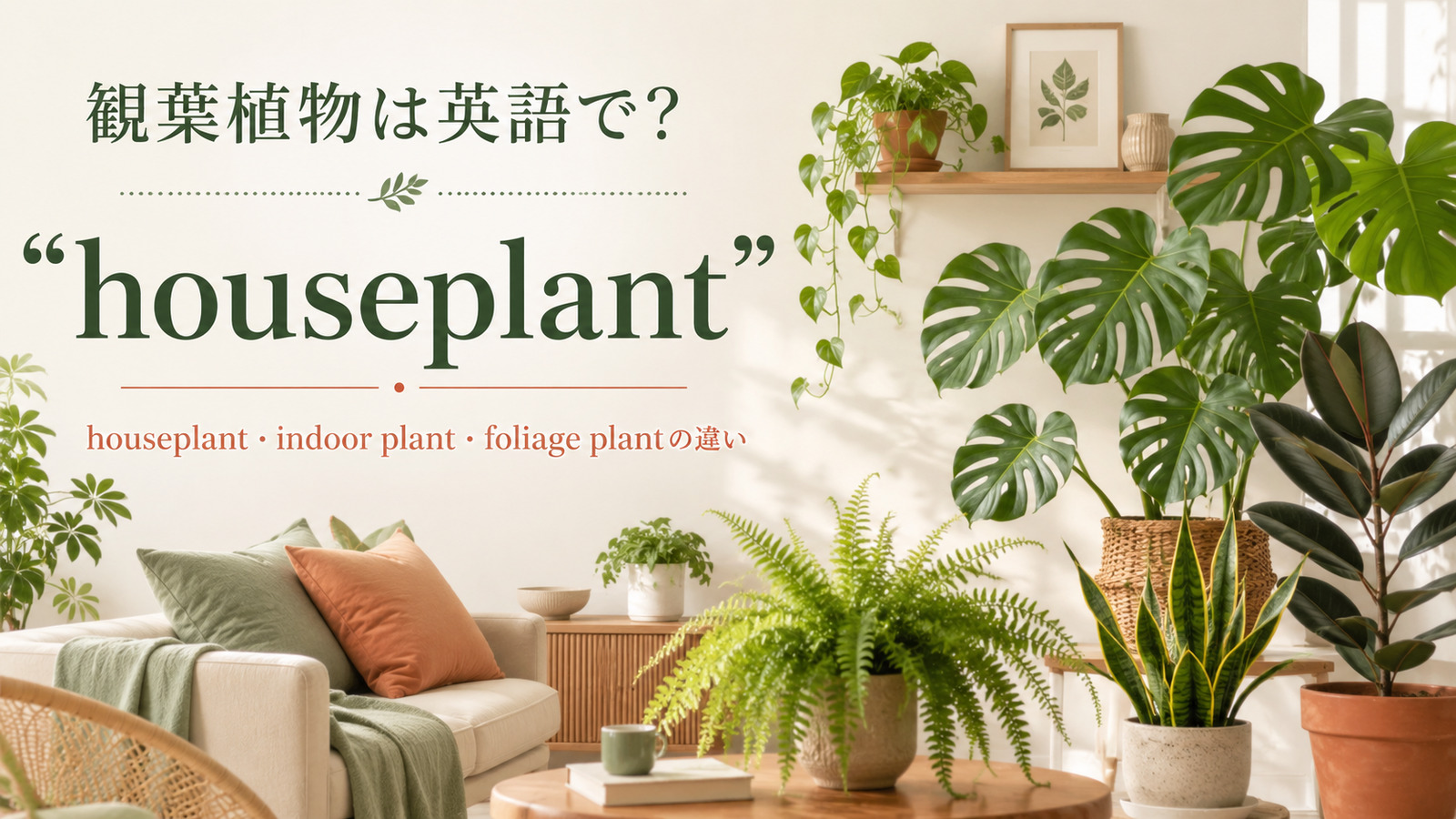 観葉植物は英語でhouseplantと紹介するアイキャッチ画像