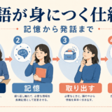 理解・記憶・取り出す・使えるの4段階で英語が身につく仕組みを示す図