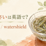 じゅんさいとwatershieldのアイキャッチ