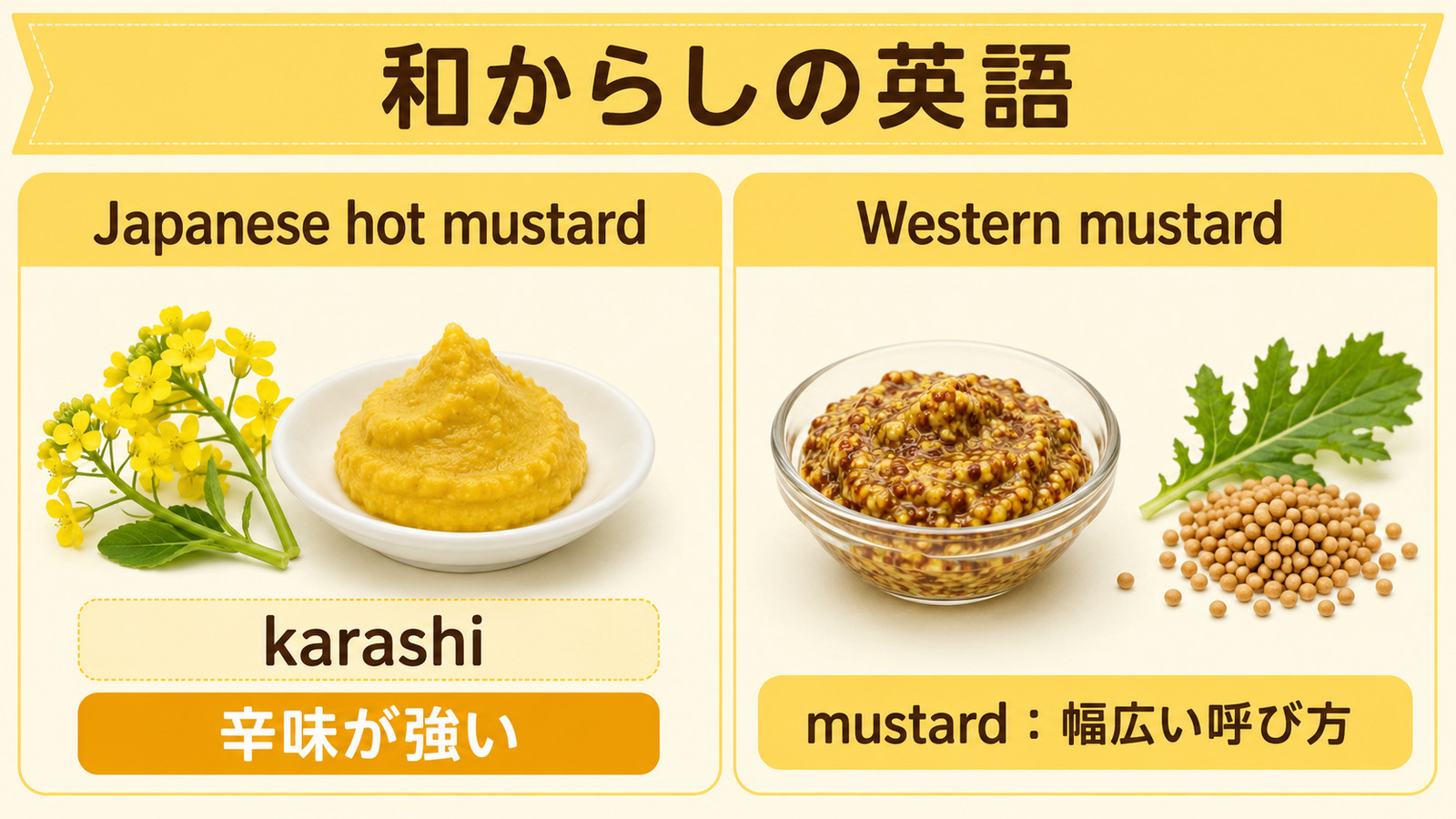 和からしの英語名と特徴を示す解説画像