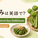 こごみとostrich fern fiddleheadsのアイキャッチ