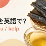 昆布を英語で解説するアイキャッチ画像