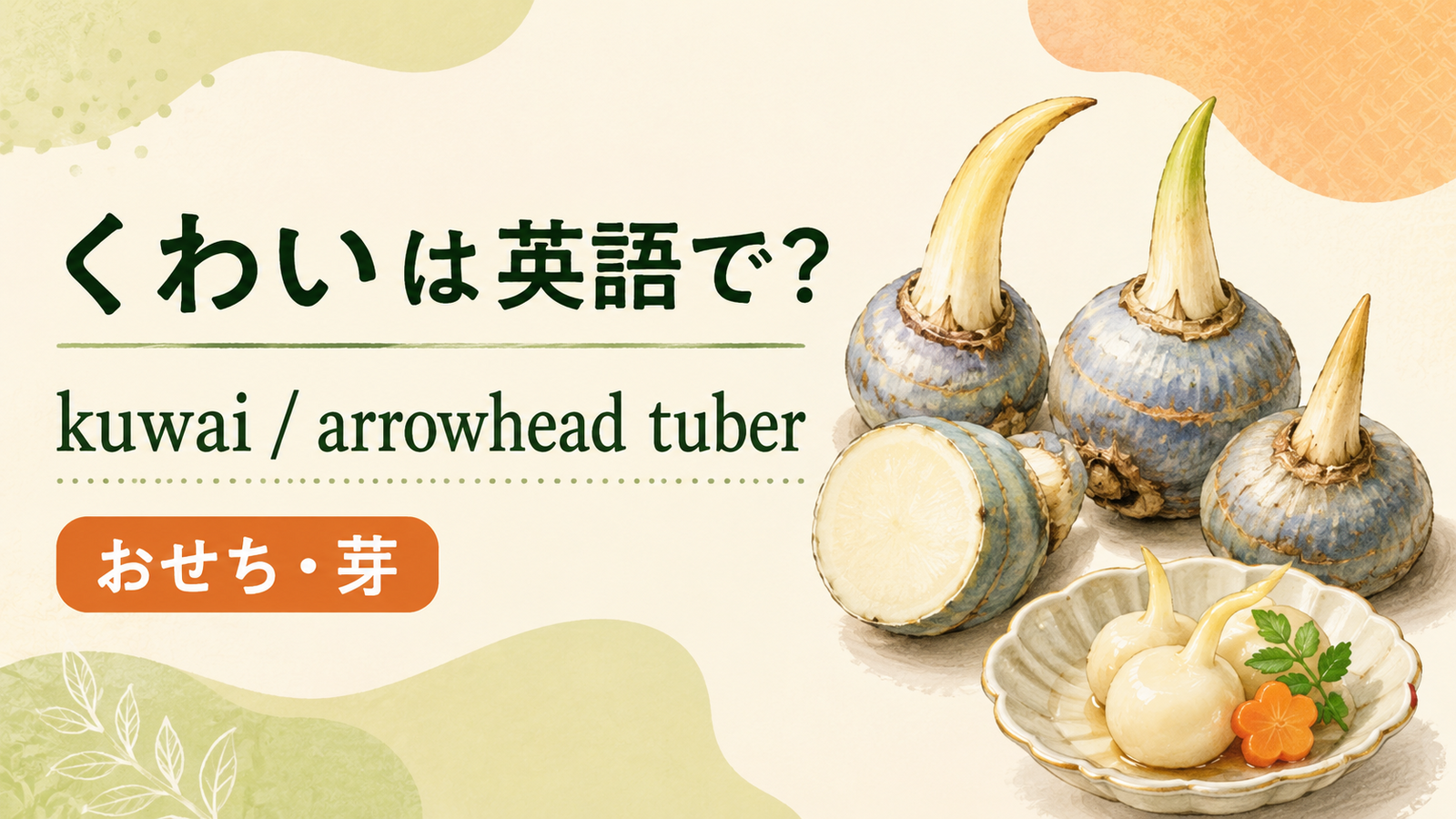 くわいは英語で何というかを解説するアイキャッチ