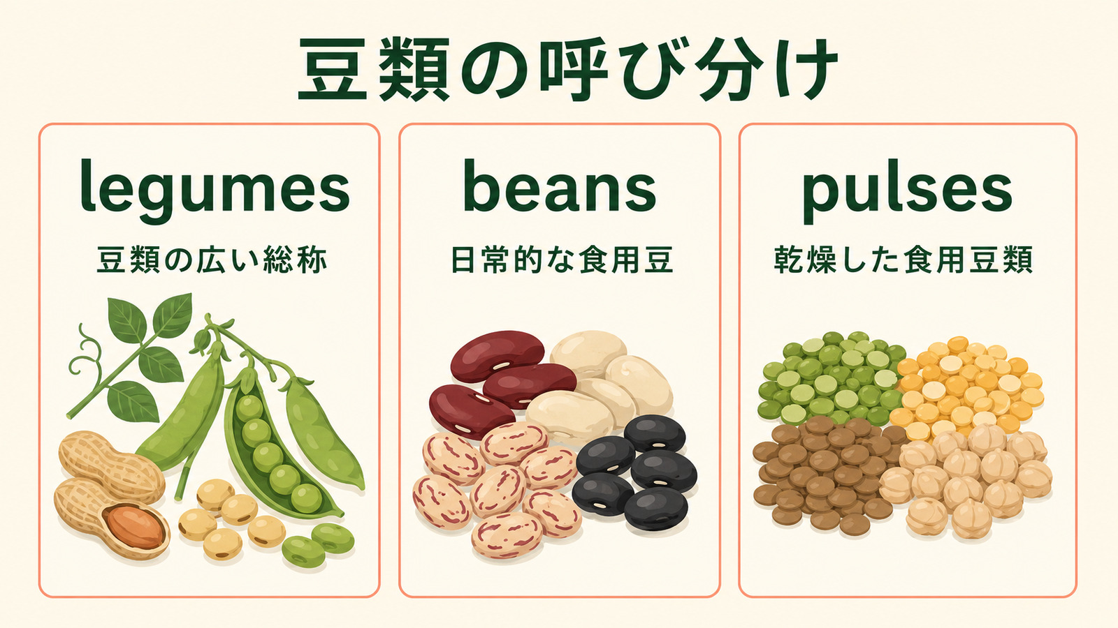 legumes・beans・pulsesの違い