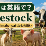 家畜は英語で｜livestockの意味