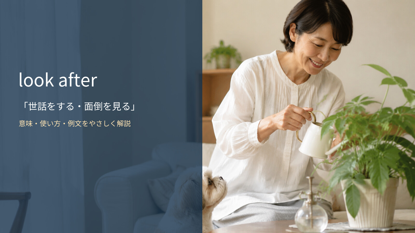 look afterの意味・使い方・例文