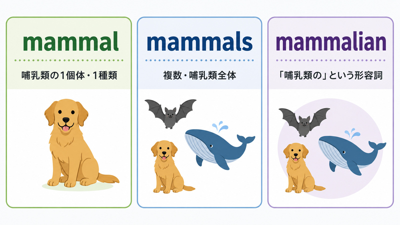 mammal・mammals・mammalianの違い