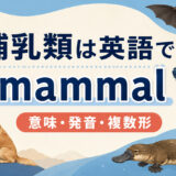 哺乳類は英語で｜mammalの意味・発音・複数形