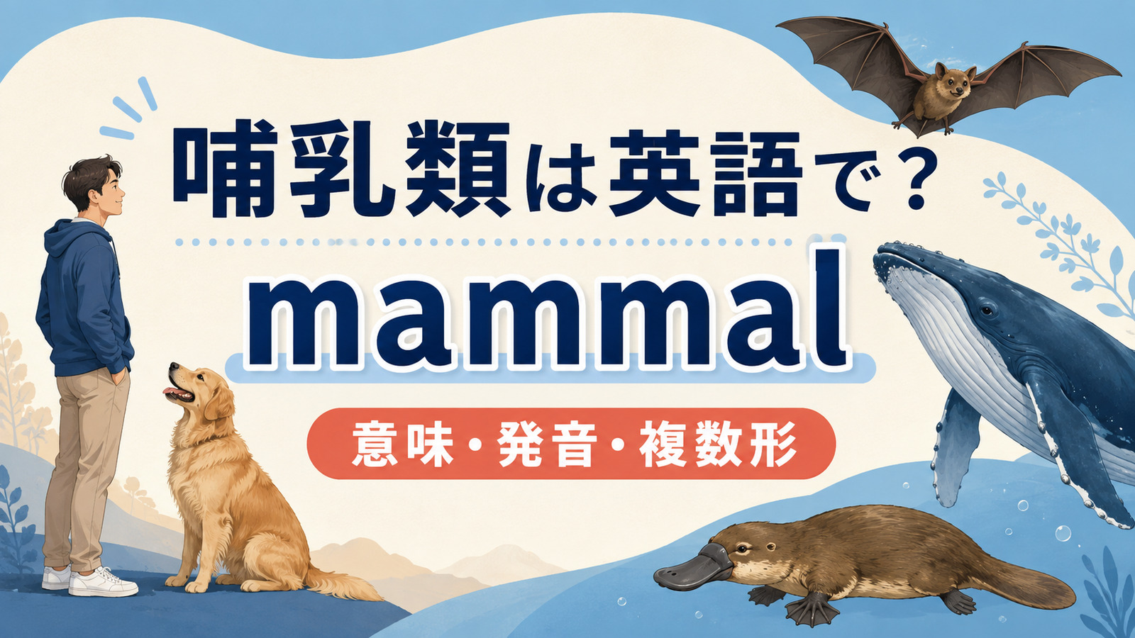 哺乳類は英語で|mammalの意味・発音・複数形