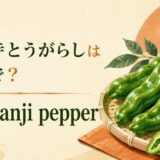 万願寺とうがらし、Manganji pepperの英語学習画像