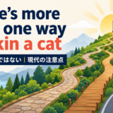 There's more than one way to skin a catの意味と使い方