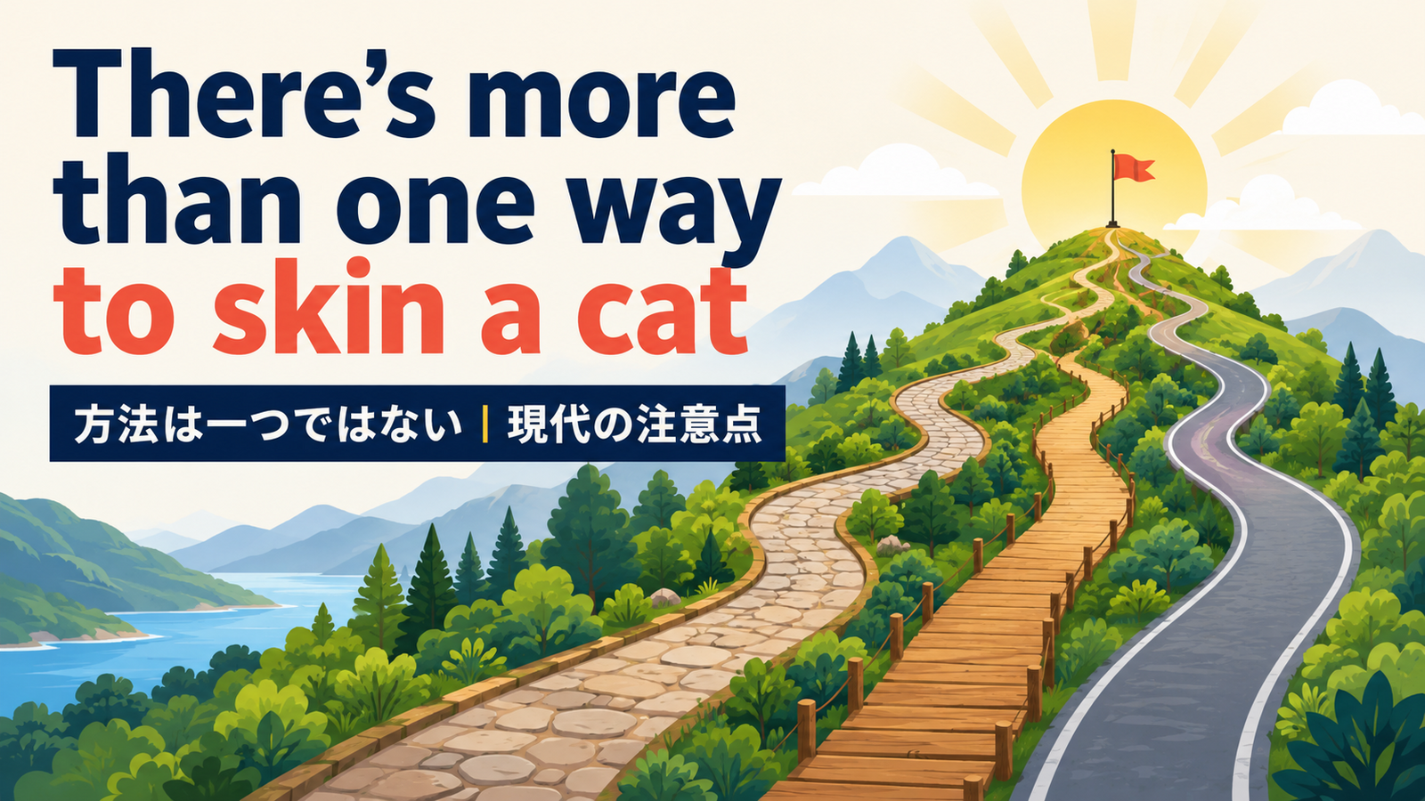 There’s more than one way to skin a cat の意味・使い方｜ニュアンスと例文を解説