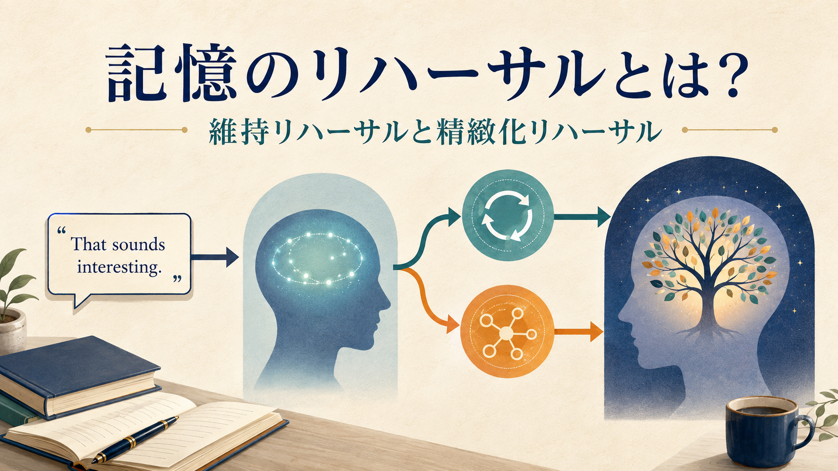 維持リハーサルと精緻化リハーサルから長期記憶への流れを示す英語学習図