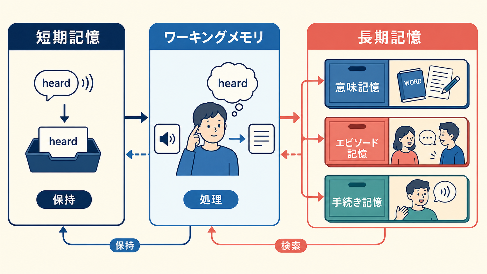 短期記憶、ワーキングメモリ、長期記憶内の意味記憶・エピソード記憶・手続き記憶の関係
