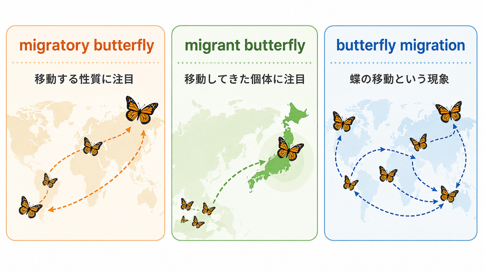 migratory butterfly・migrant butterfly・butterfly migrationの違い