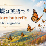 渡り蝶は英語で|migratory butterflyの意味