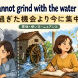 A mill cannot grind with the water that is pastの意味と使い方