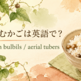 むかごとyam bulbilsのアイキャッチ