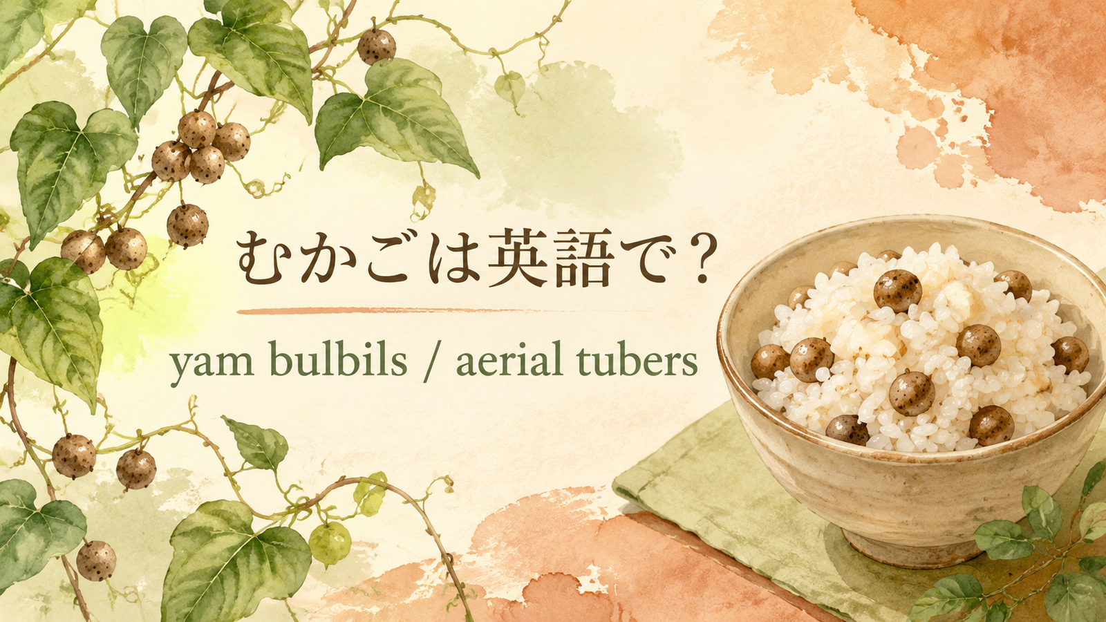 むかごは英語で何というかを解説するアイキャッチ
