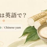 長芋、nagaimo、Chinese yam、とろろの英語学習画像