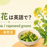 菜の花とrapeseed greensのアイキャッチ