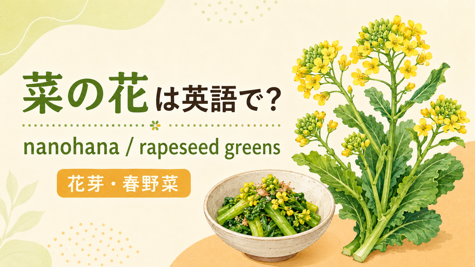 菜の花は英語で何というかを解説するアイキャッチ