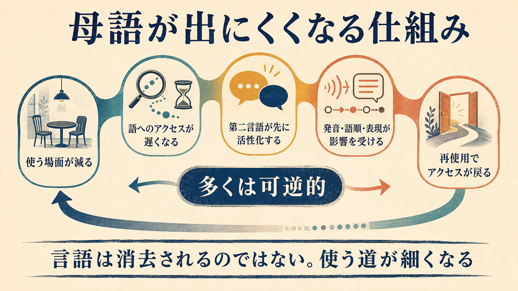 母語の使用減少からアクセス低下、第二言語の干渉、再使用による回復までを示す図